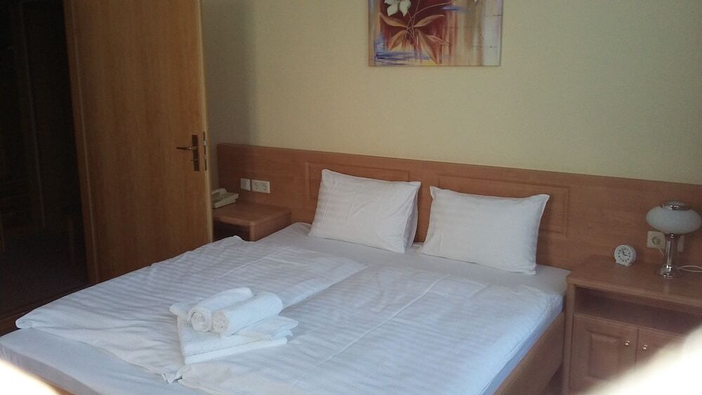 Hotel - Pension Vesta Bad Elster Kültér fotó